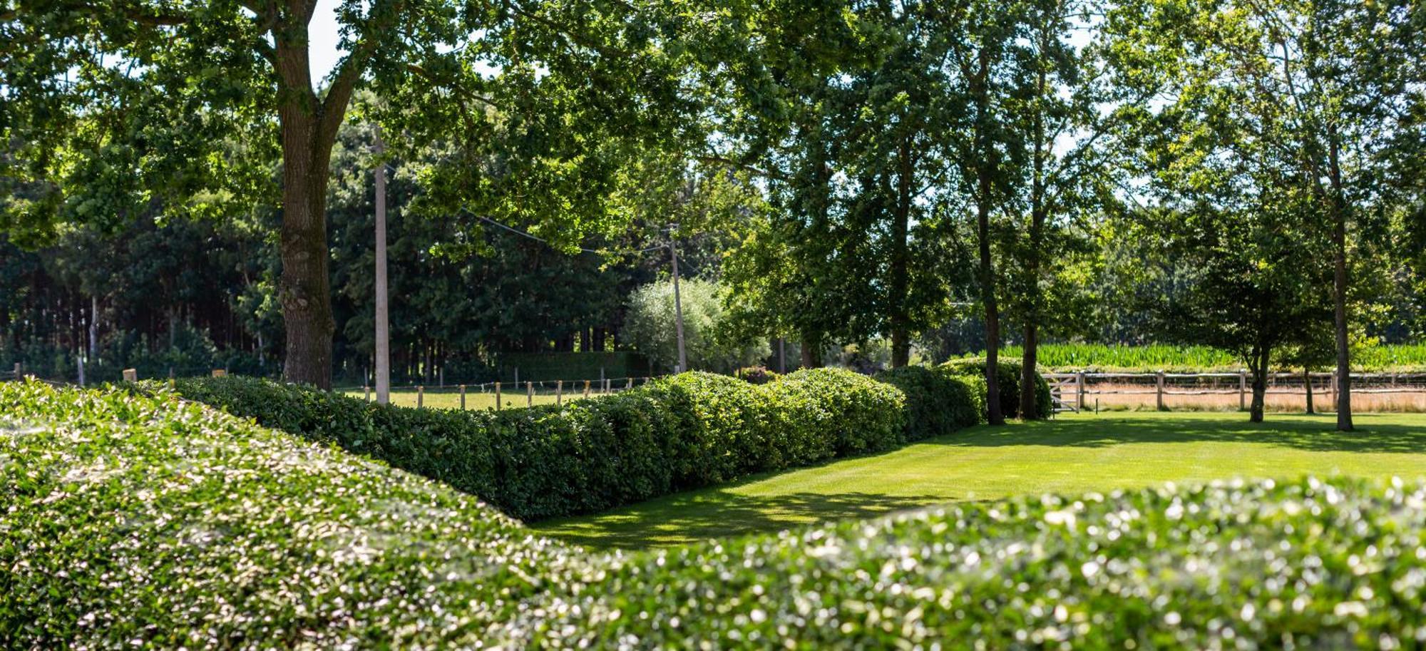 Hoeve Den Akker - Luxueuze Met Privetuinen En Alpaca's Nabij Brugge, Damme, Knokke, Sluis En Cadzand